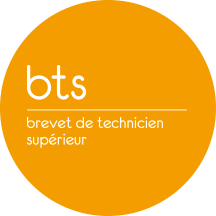 Brevet de Technicien Supérieur Services Informatiques aux Organisations (BTS SIO)