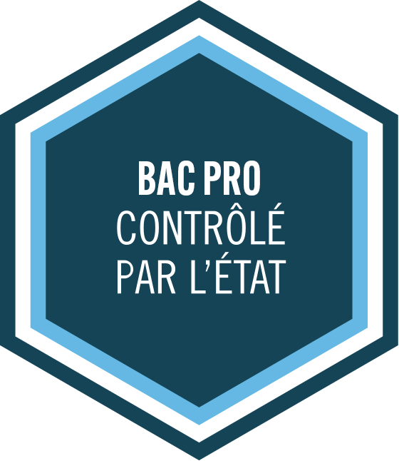 Baccalauréat Professionnel Système Numérique